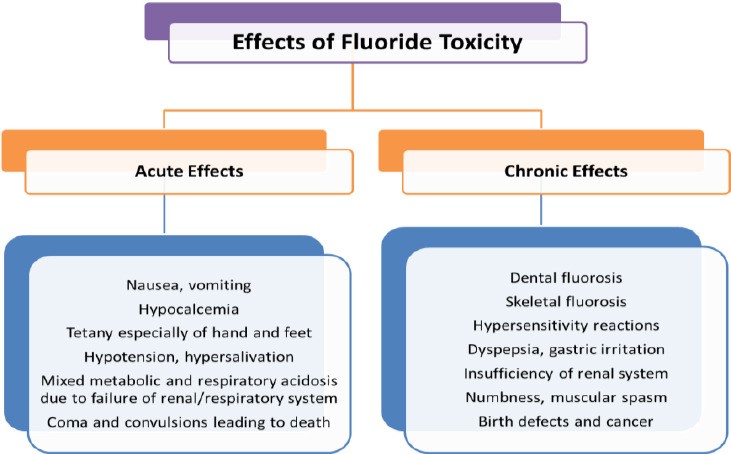 Effects Of Fluoride Toxicity